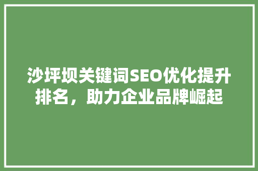 沙坪坝关键词SEO优化提升排名，助力企业品牌崛起