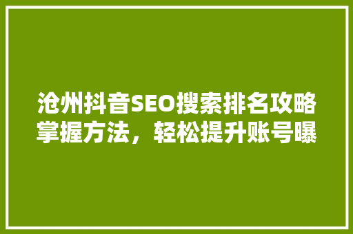 沧州抖音SEO搜索排名攻略掌握方法，轻松提升账号曝光率