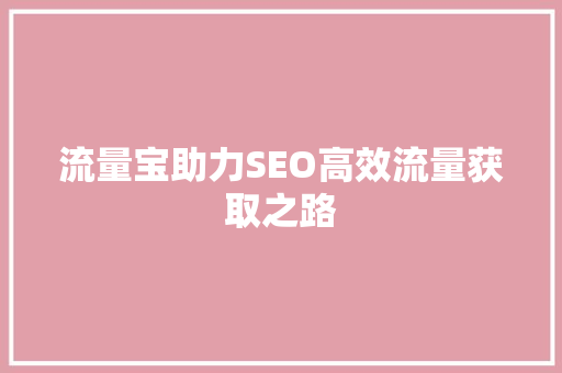 流量宝助力SEO高效流量获取之路