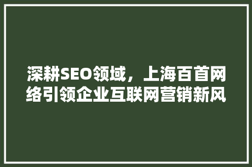 深耕SEO领域，上海百首网络引领企业互联网营销新风向