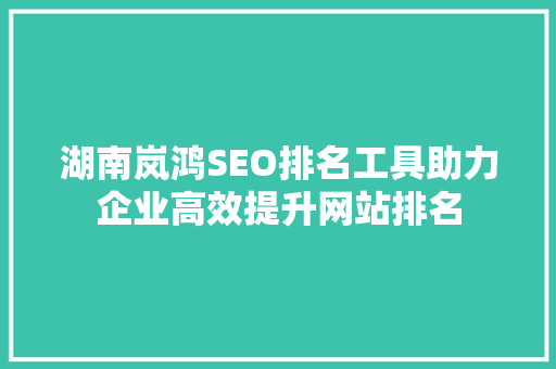 湖南岚鸿SEO排名工具助力企业高效提升网站排名
