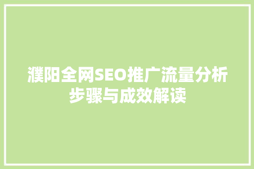 濮阳全网SEO推广流量分析步骤与成效解读