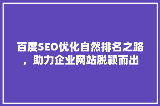 百度SEO优化自然排名之路，助力企业网站脱颖而出