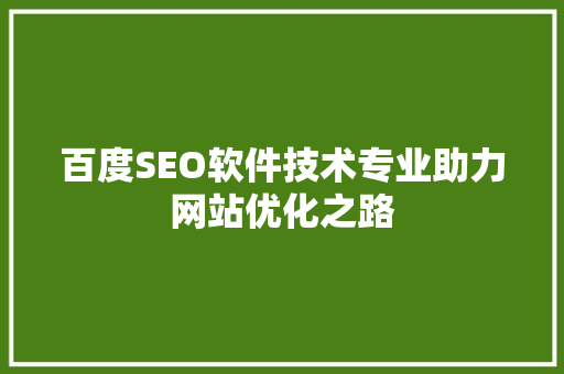 百度SEO软件技术专业助力网站优化之路