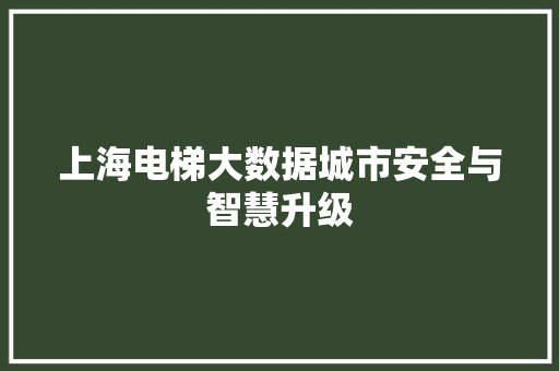 上海电梯大数据城市安全与智慧升级