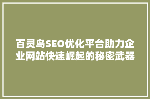 百灵鸟SEO优化平台助力企业网站快速崛起的秘密武器