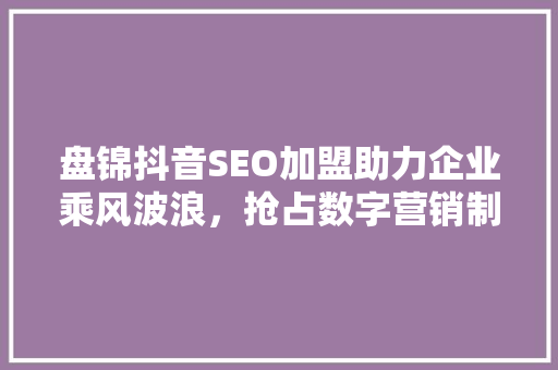 盘锦抖音SEO加盟助力企业乘风波浪，抢占数字营销制高点