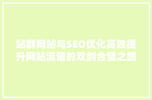 站群网站与SEO优化高效提升网站流量的双剑合璧之路