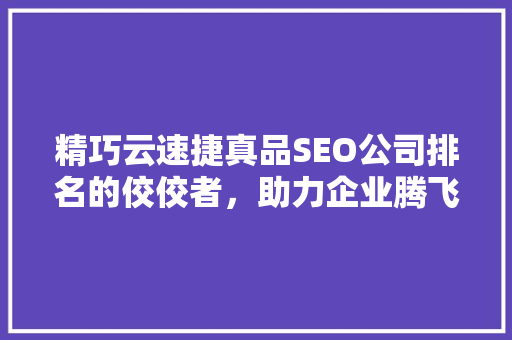 精巧云速捷真品SEO公司排名的佼佼者，助力企业腾飞
