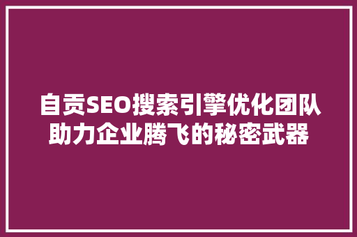 自贡SEO搜索引擎优化团队助力企业腾飞的秘密武器