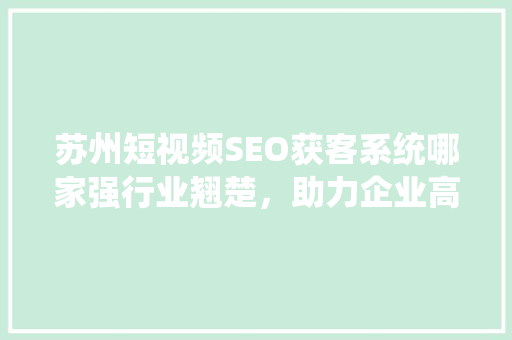 苏州短视频SEO获客系统哪家强行业翘楚，助力企业高效引流