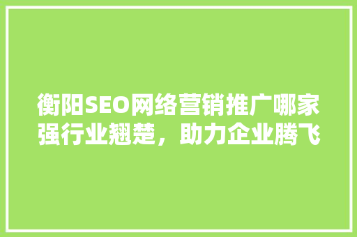 衡阳SEO网络营销推广哪家强行业翘楚，助力企业腾飞