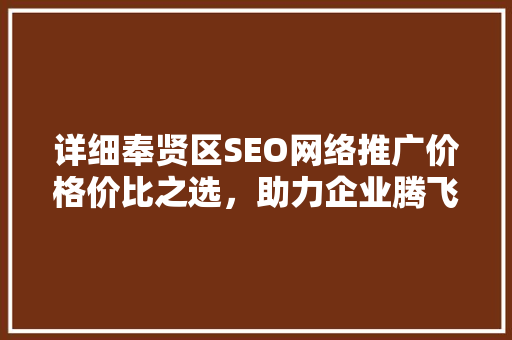 详细奉贤区SEO网络推广价格价比之选，助力企业腾飞