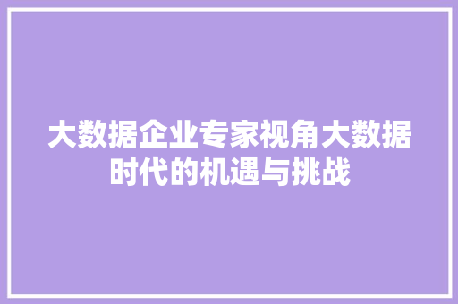 大数据企业专家视角大数据时代的机遇与挑战