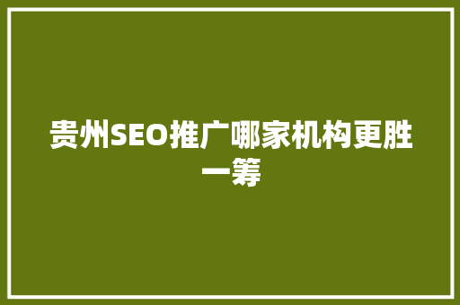 贵州SEO推广哪家机构更胜一筹