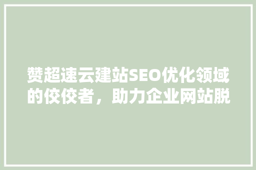 赞超速云建站SEO优化领域的佼佼者，助力企业网站脱颖而出