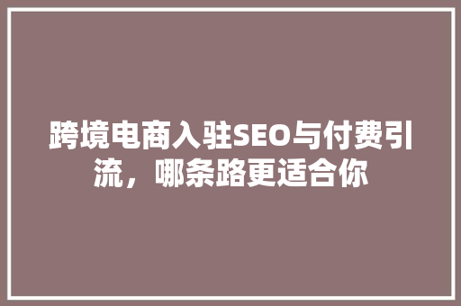 跨境电商入驻SEO与付费引流，哪条路更适合你