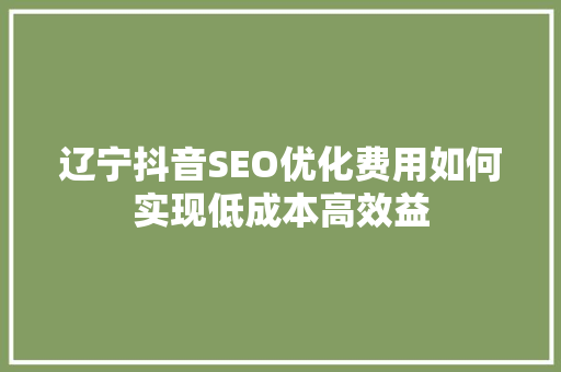 辽宁抖音SEO优化费用如何实现低成本高效益