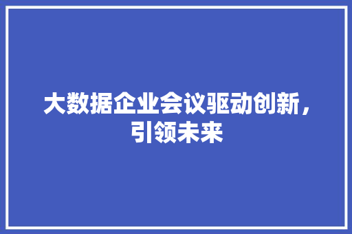 大数据企业会议驱动创新，引领未来