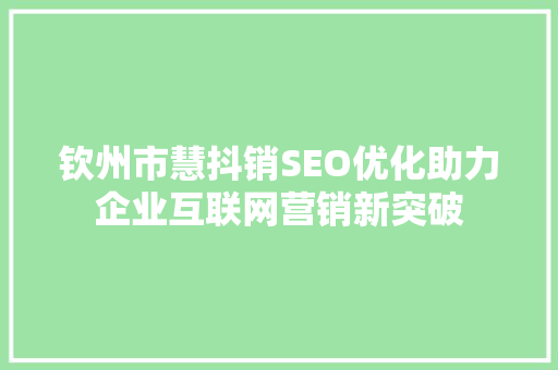 钦州市慧抖销SEO优化助力企业互联网营销新突破  第1张