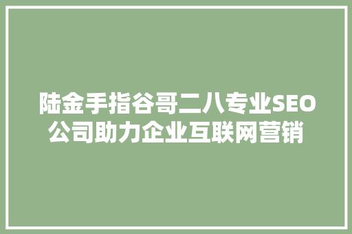 陆金手指谷哥二八专业SEO公司助力企业互联网营销