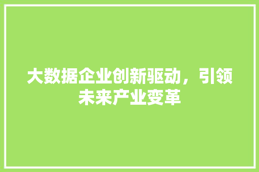 大数据企业创新驱动，引领未来产业变革