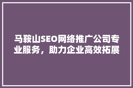 马鞍山SEO网络推广公司专业服务，助力企业高效拓展市场