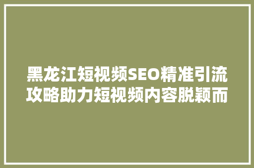 黑龙江短视频SEO精准引流攻略助力短视频内容脱颖而出