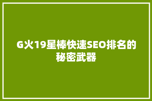 G火19星棒快速SEO排名的秘密武器