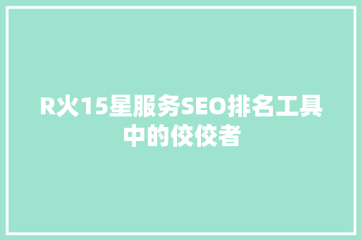 R火15星服务SEO排名工具中的佼佼者