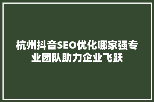 杭州抖音SEO优化哪家强专业团队助力企业飞跃