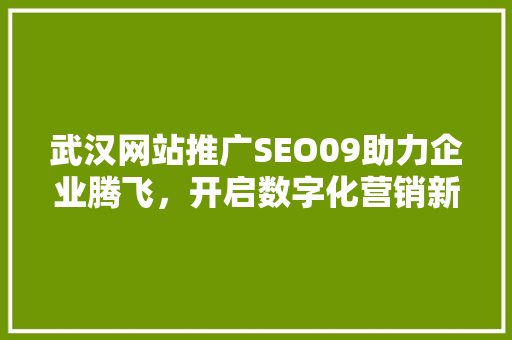 武汉网站推广SEO09助力企业腾飞，开启数字化营销新篇章