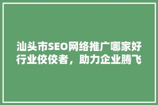汕头市SEO网络推广哪家好行业佼佼者，助力企业腾飞