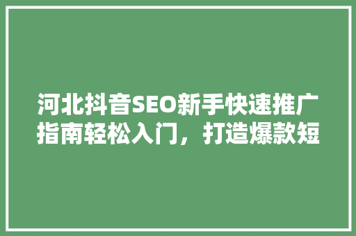 河北抖音SEO新手快速推广指南轻松入门，打造爆款短视频
