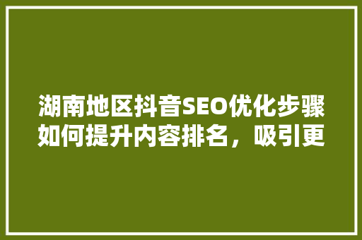 湖南地区抖音SEO优化步骤如何提升内容排名，吸引更多粉丝