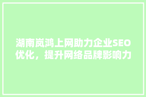湖南岚鸿上网助力企业SEO优化，提升网络品牌影响力