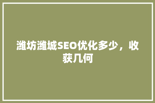潍坊潍城SEO优化多少，收获几何