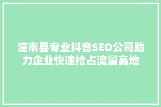 潼南县专业抖音SEO公司助力企业快速抢占流量高地