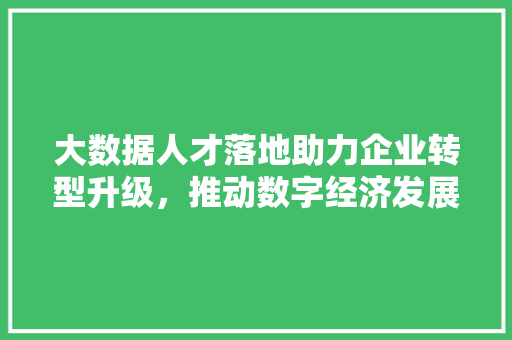 大数据人才落地助力企业转型升级，推动数字经济发展  第1张