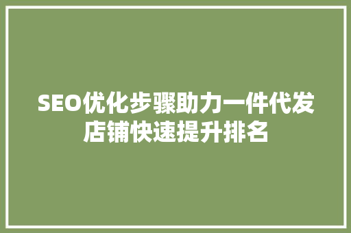 SEO优化步骤助力一件代发店铺快速提升排名