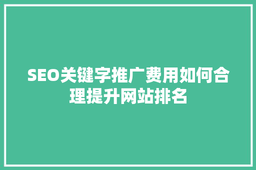 SEO关键字推广费用如何合理提升网站排名  第1张