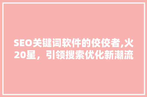 SEO关键词软件的佼佼者,火20星，引领搜索优化新潮流