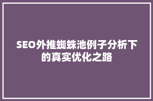 SEO外推蜘蛛池例子分析下的真实优化之路
