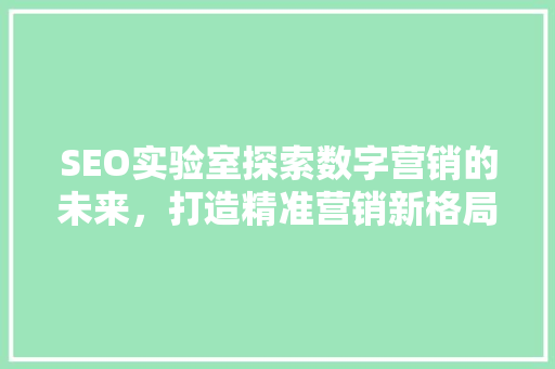 SEO实验室探索数字营销的未来，打造精准营销新格局
