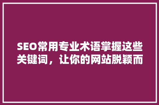 SEO常用专业术语掌握这些关键词，让你的网站脱颖而出