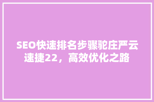 SEO快速排名步骤驼庄严云速捷22，高效优化之路