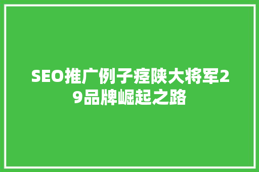 SEO推广例子痉陕大将军29品牌崛起之路
