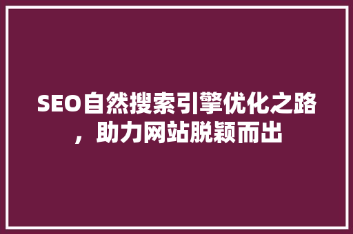 SEO自然搜索引擎优化之路，助力网站脱颖而出