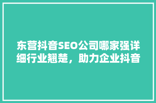 东营抖音SEO公司哪家强详细行业翘楚，助力企业抖音营销新突破