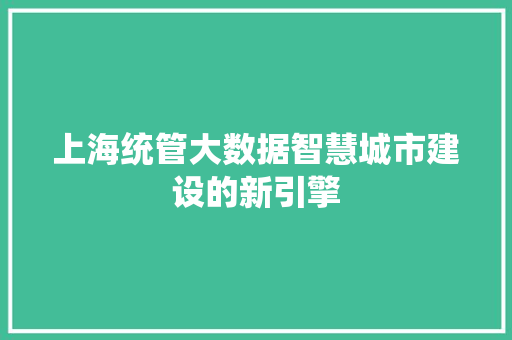 上海统管大数据智慧城市建设的新引擎